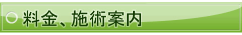 main_title